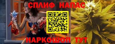 индика Ипатово